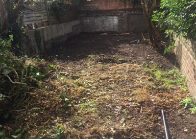 Garden Services Portsmouth 1