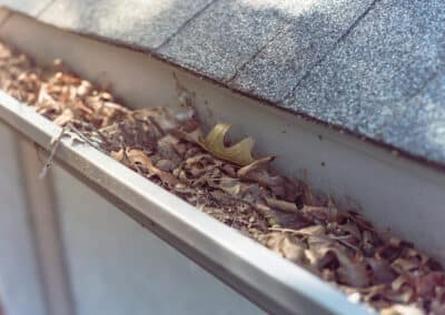 Gutters and Fascias Portsmouth 2 scaled